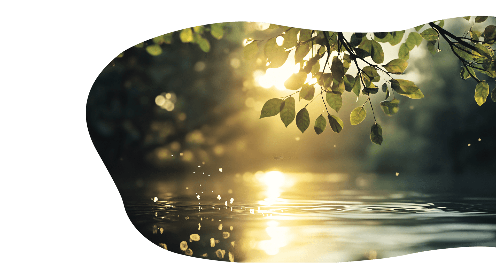 Ambiance nature et bien-être du salon Zenéa